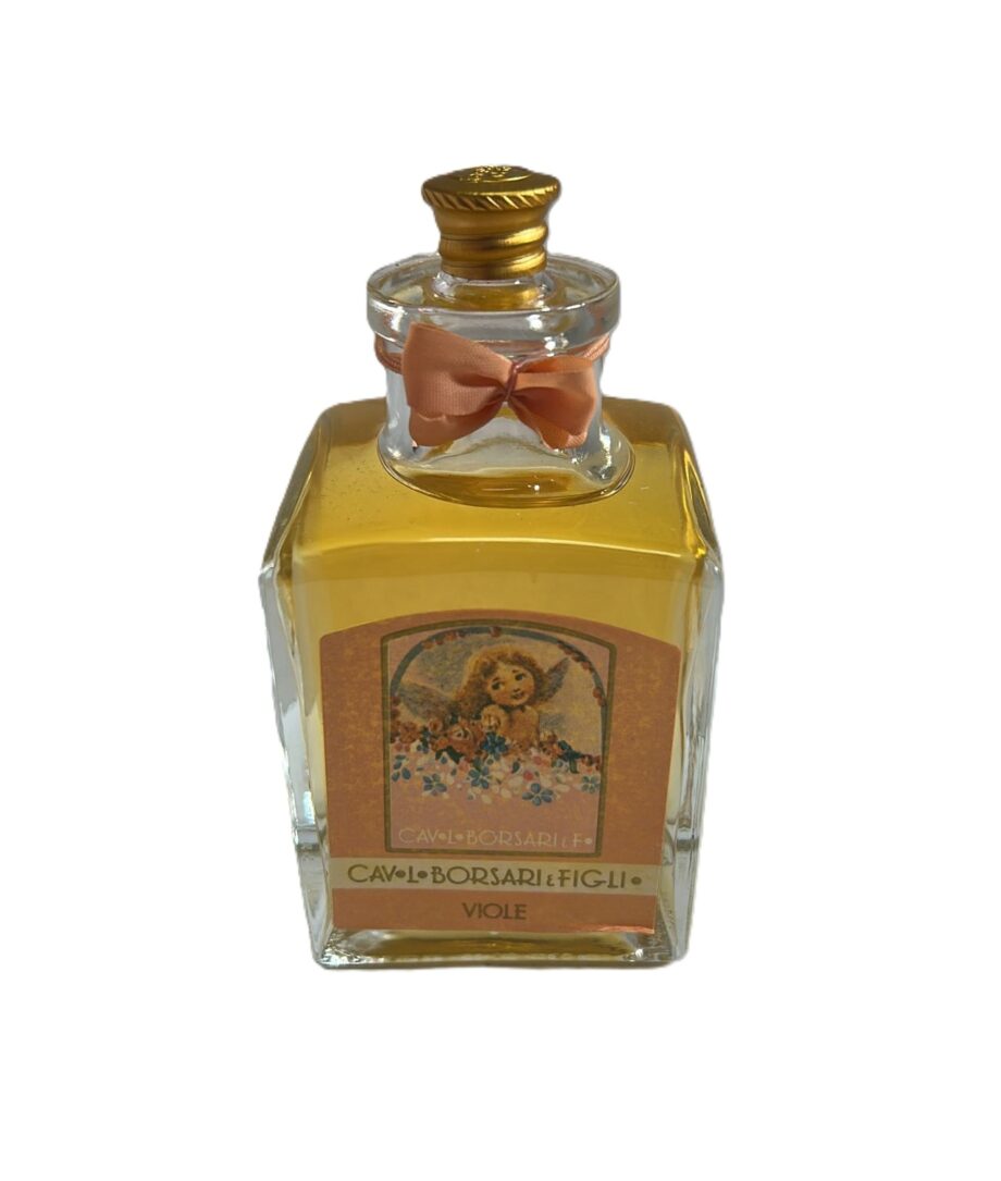 BORSARI - Borsari Look - Viole Eau de Parfum 100 gr  + Sapone VINTAGE
